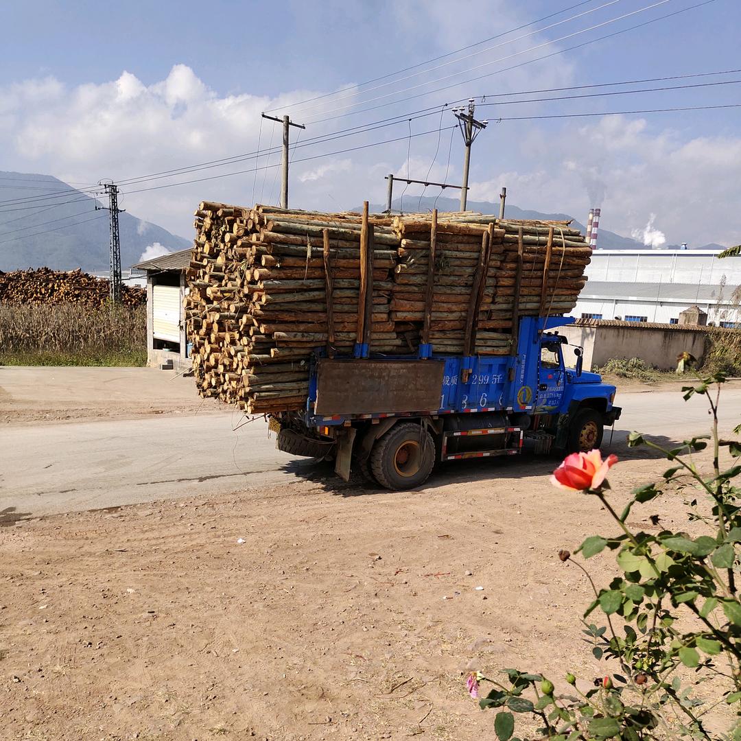 大得哥（华仔）