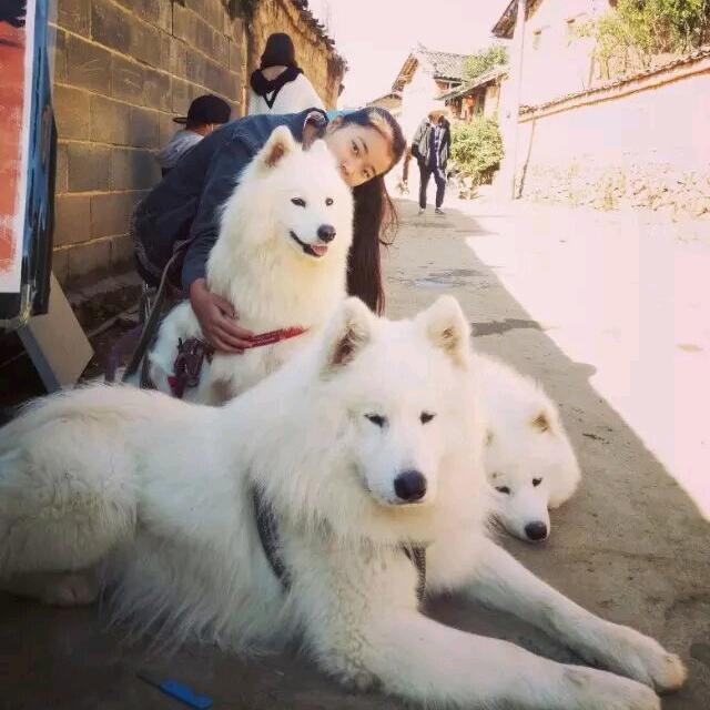 🧐🌔🌓🌗🌘🌒🌝