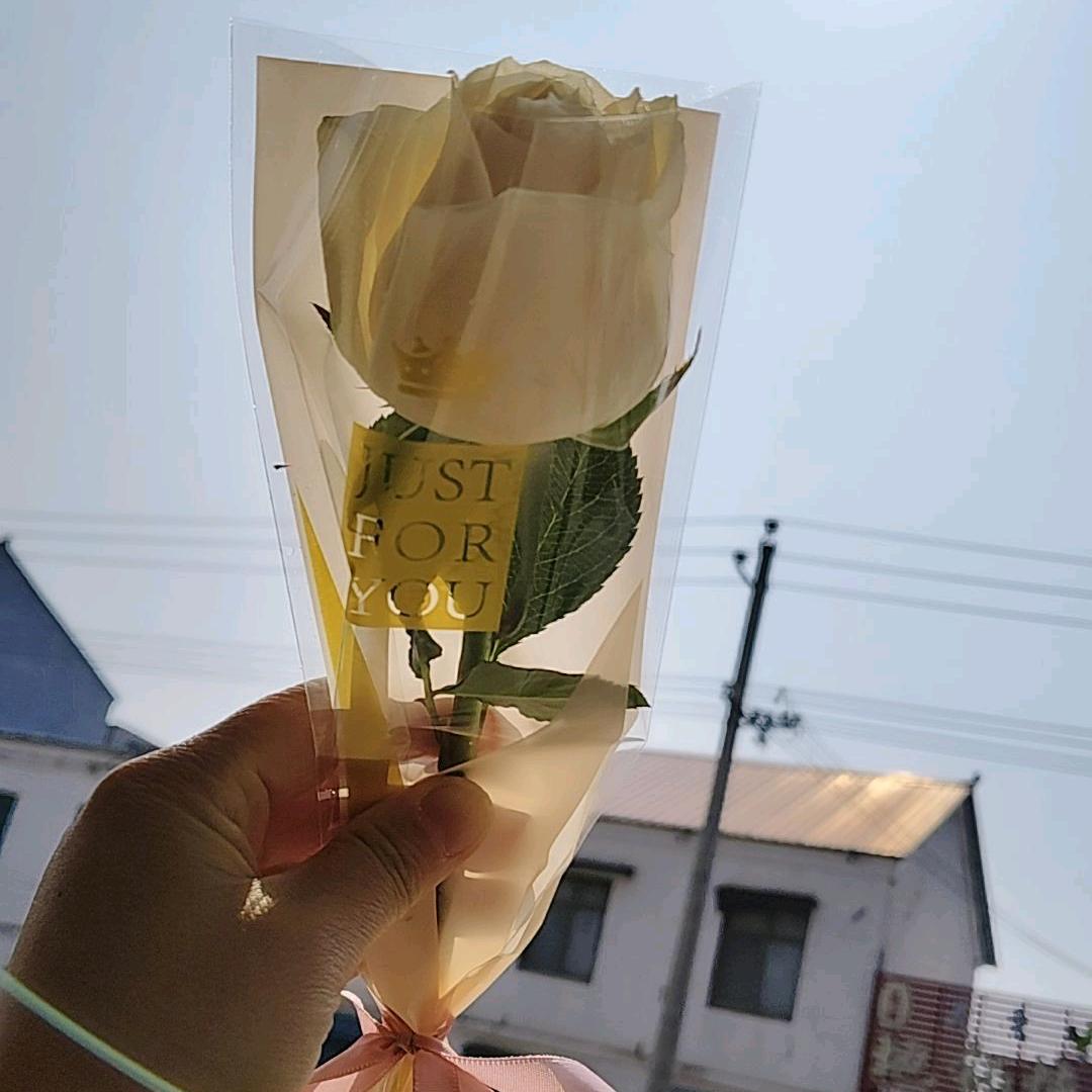 三年青春换来一句无版权