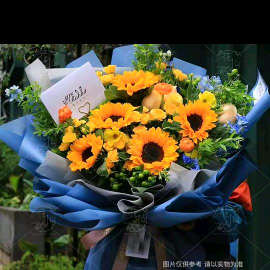 橘子小姐爱撒娇