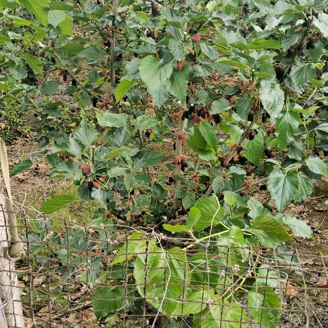 最熟悉的陌生人