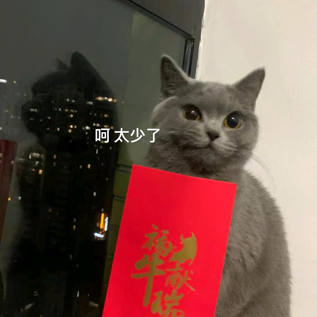 十二爱看剧