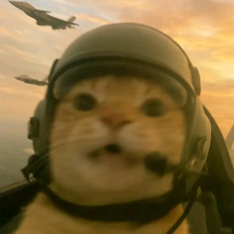 辉哥–江南办公室