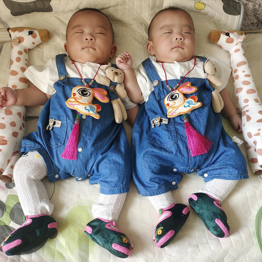 汤圆和豆包是双胞胎