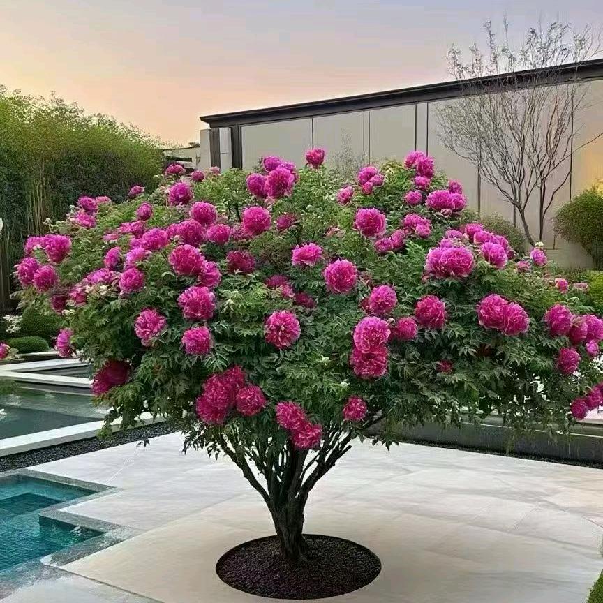 兰山区继承甜百货便利