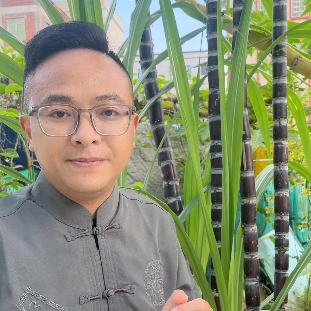 阿冲讲百草