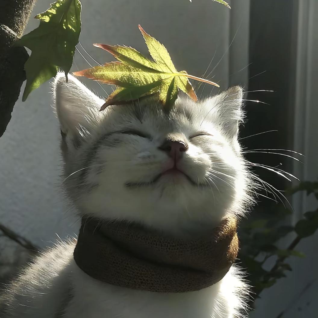 一口甜