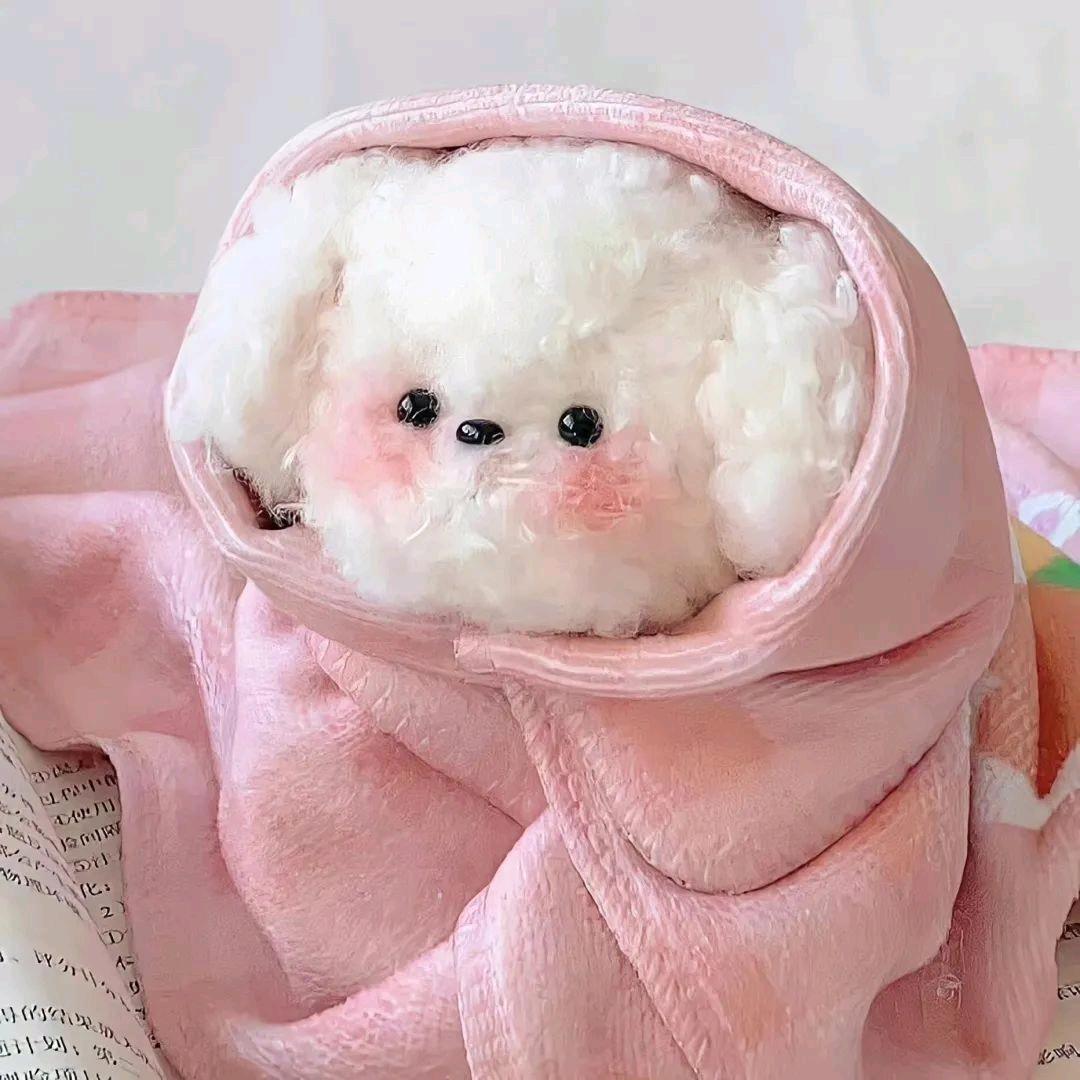 糖梨🌷