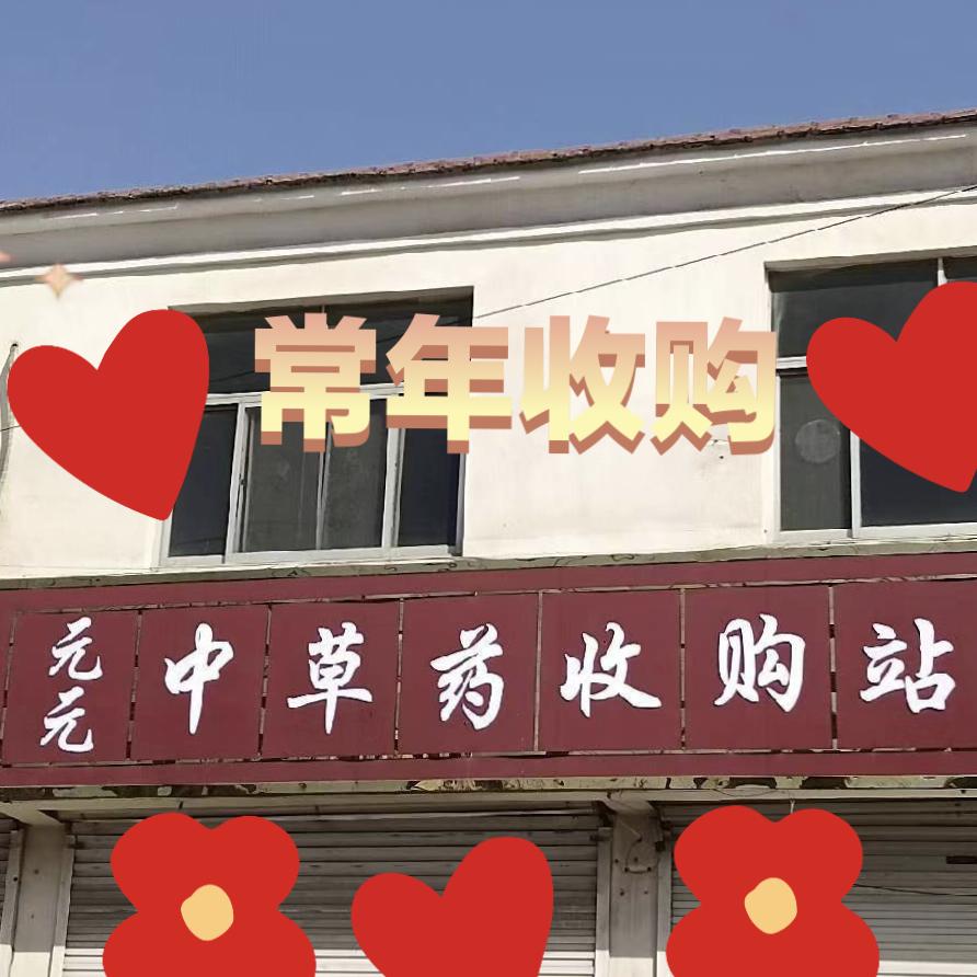 元姐商贸店（德州收草药的小媳妇）