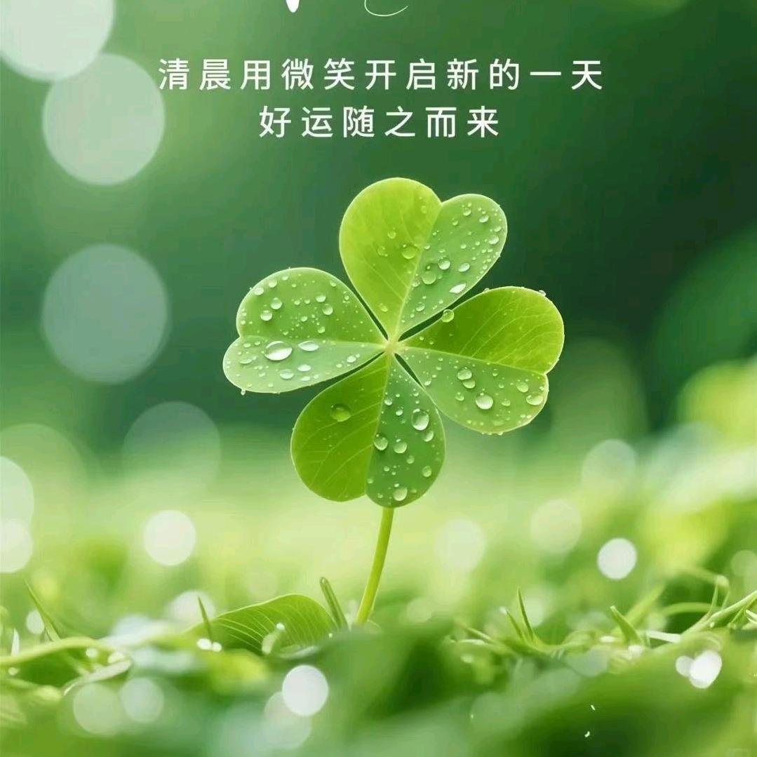 了了分明