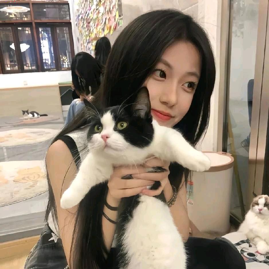 摆烂小鱼🐟.