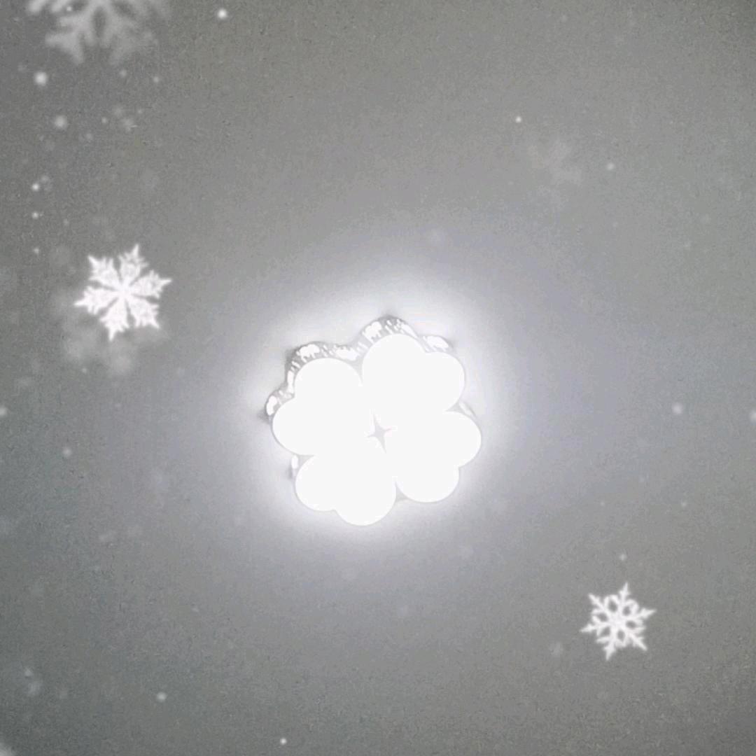 慧