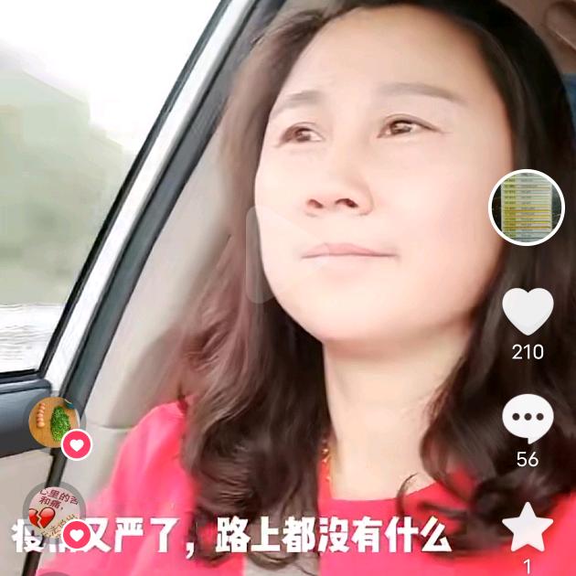 胡家菊