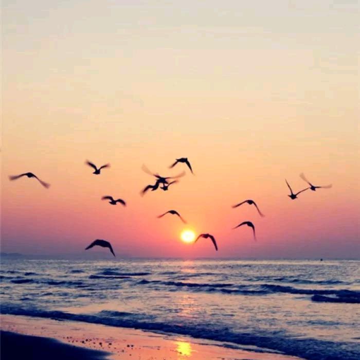 游来游趣