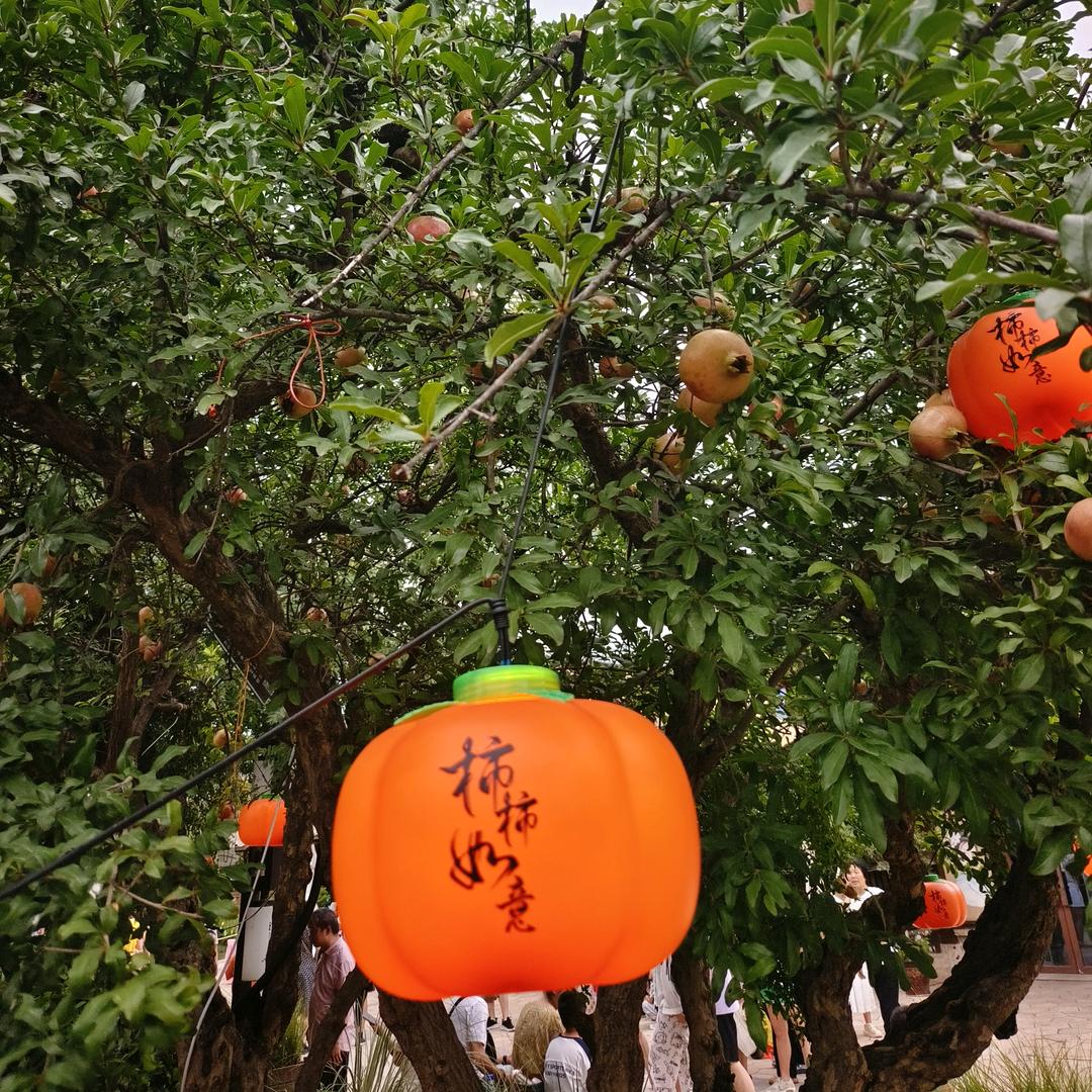 山＋住子多一横