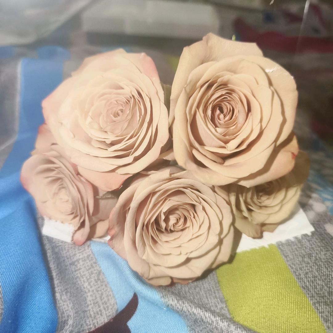 王仔啾啾糖