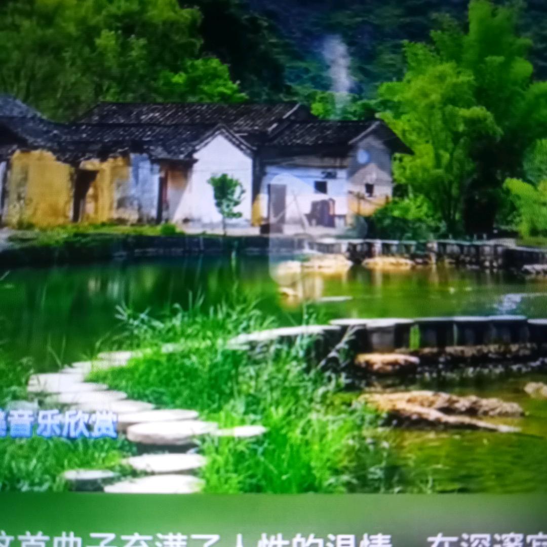 夏邑大姐4