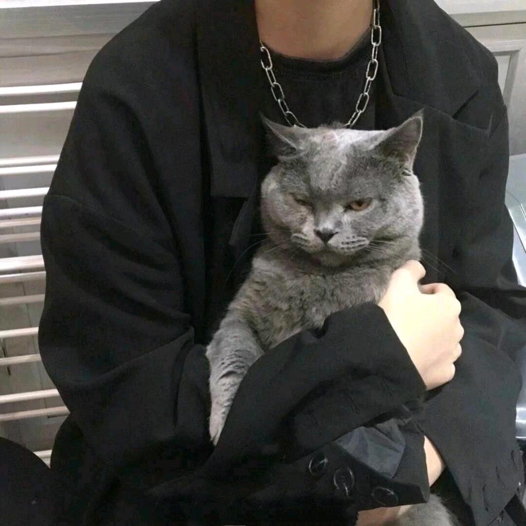 古怪怪