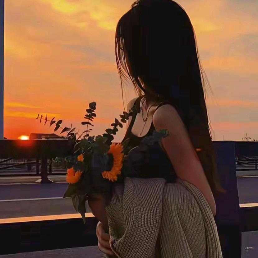 单只蝴蝶392158942