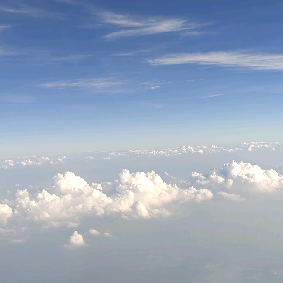 别问我我不知道