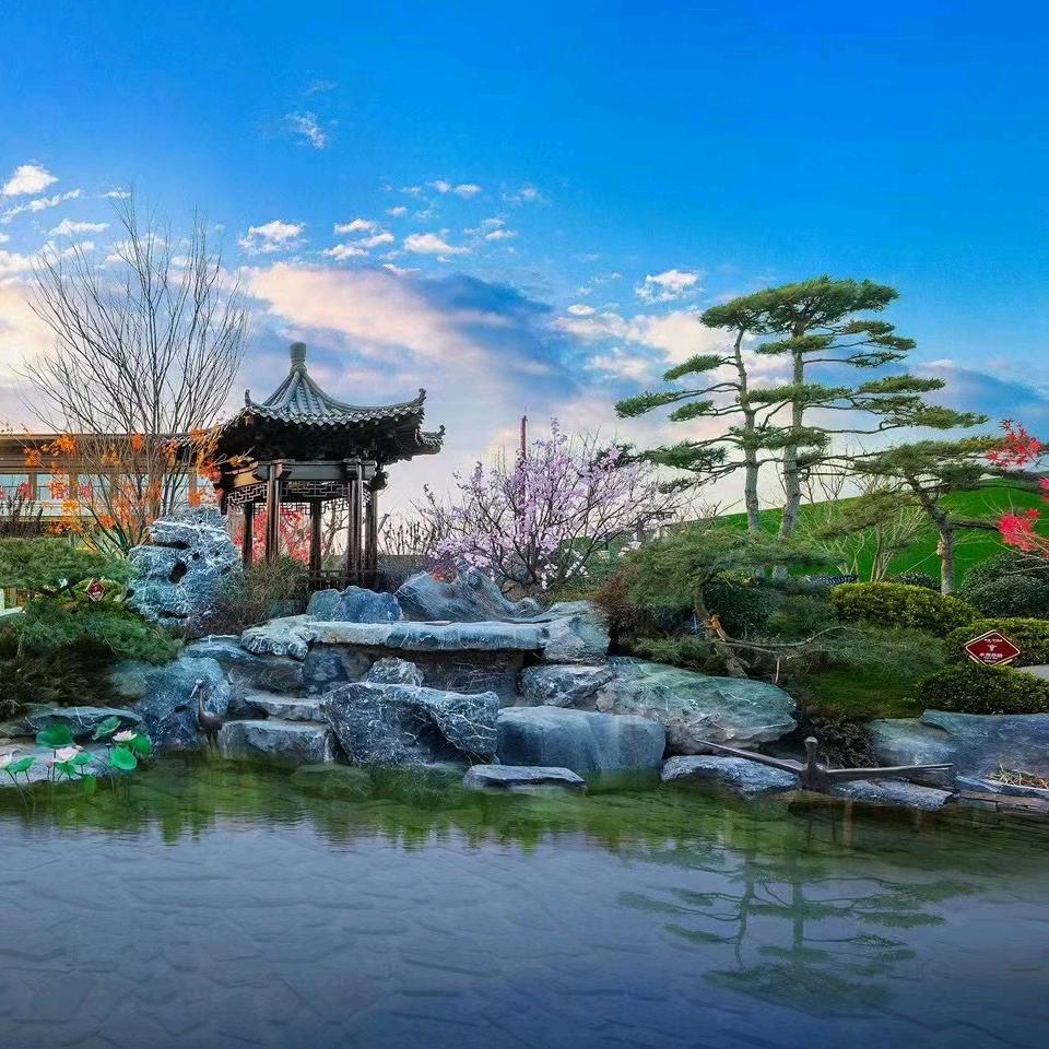 狮城珑樾     安旭