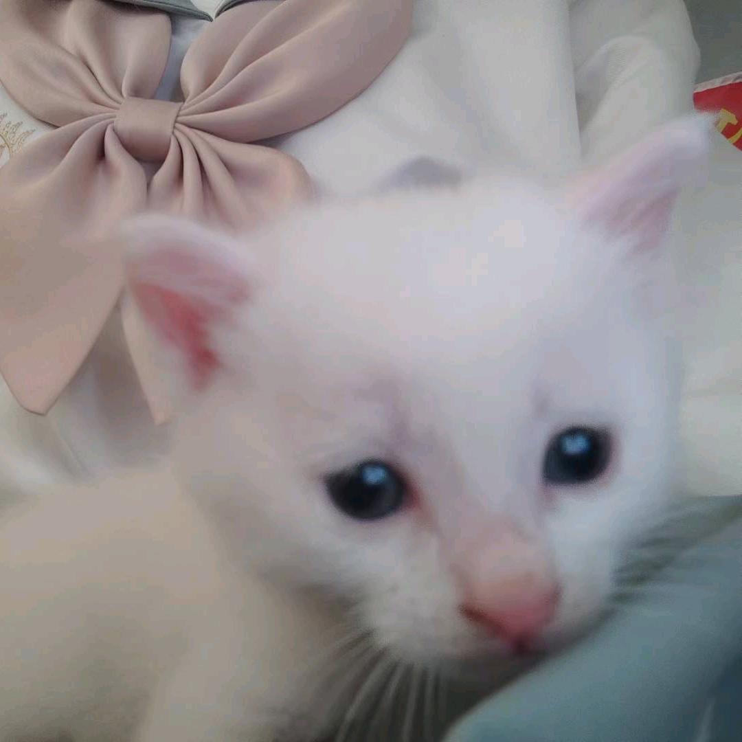 明天会更好8888🐎