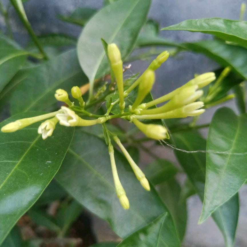 我爱我家(老公)(宝贝)