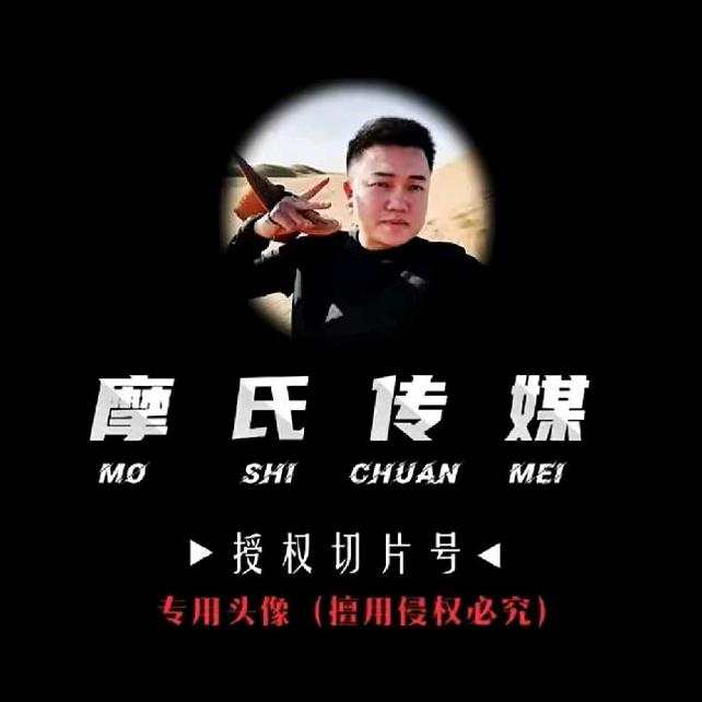 达摩切片-达摩助理