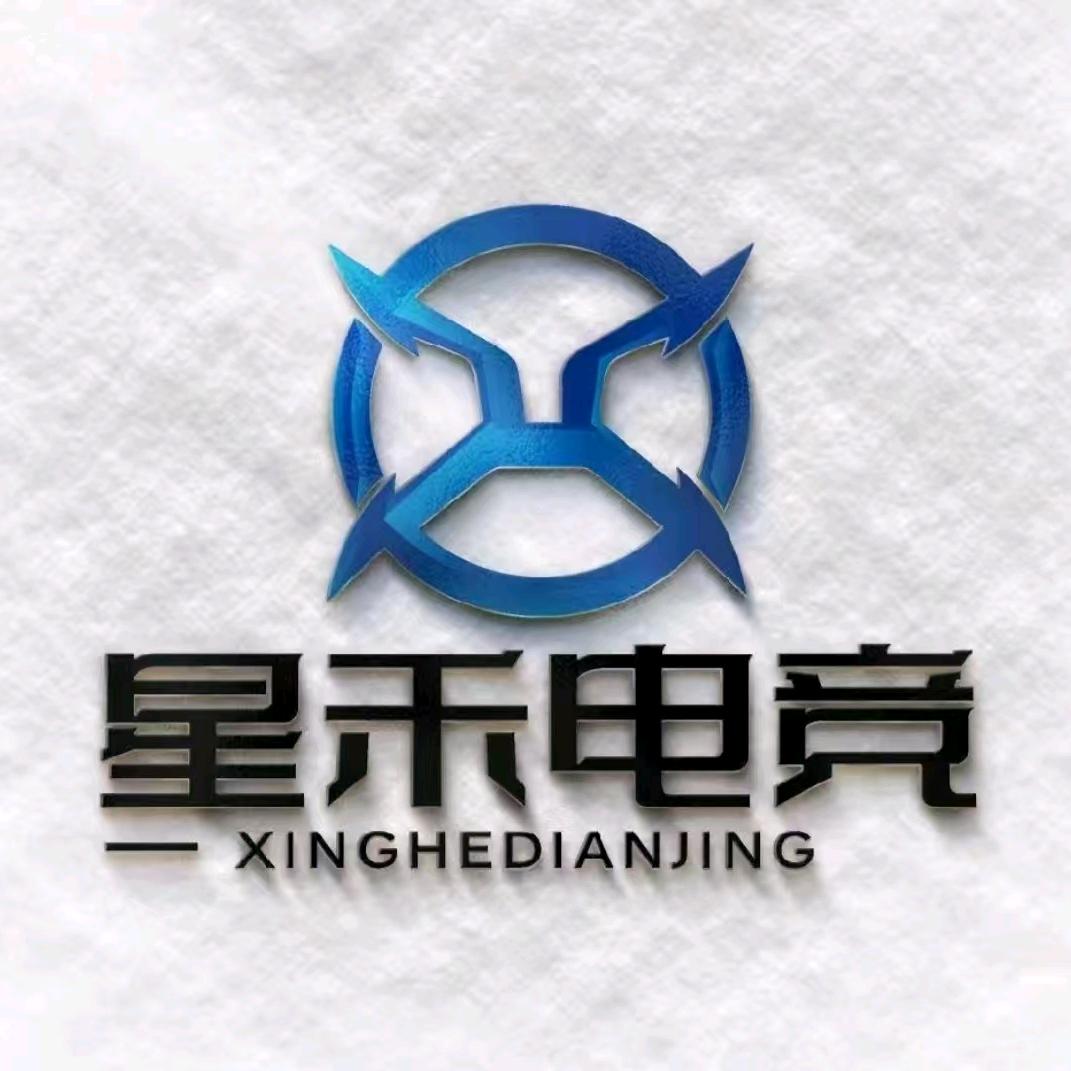 星禾王者工作室6号（接代陪）