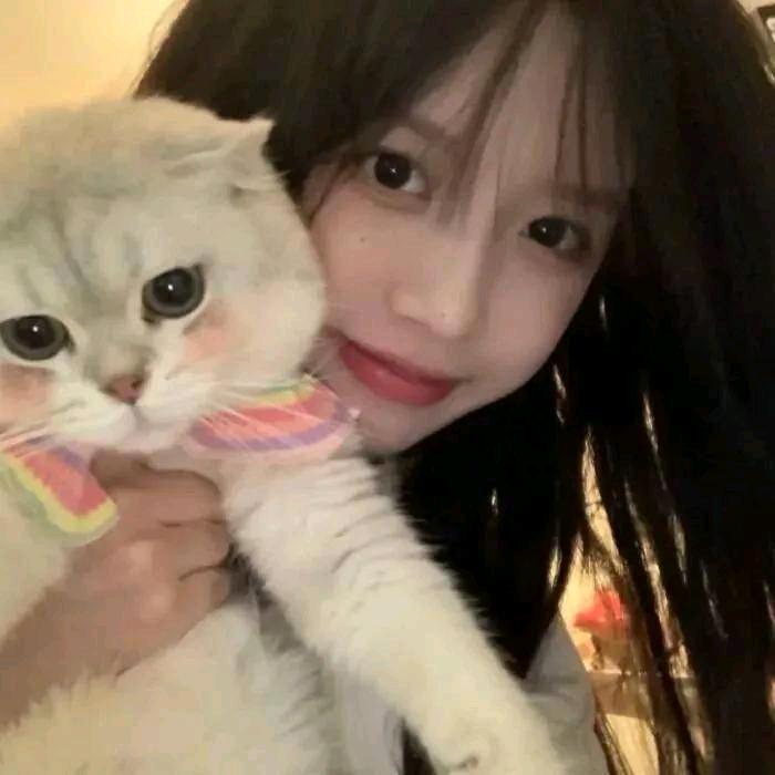 小碎同学