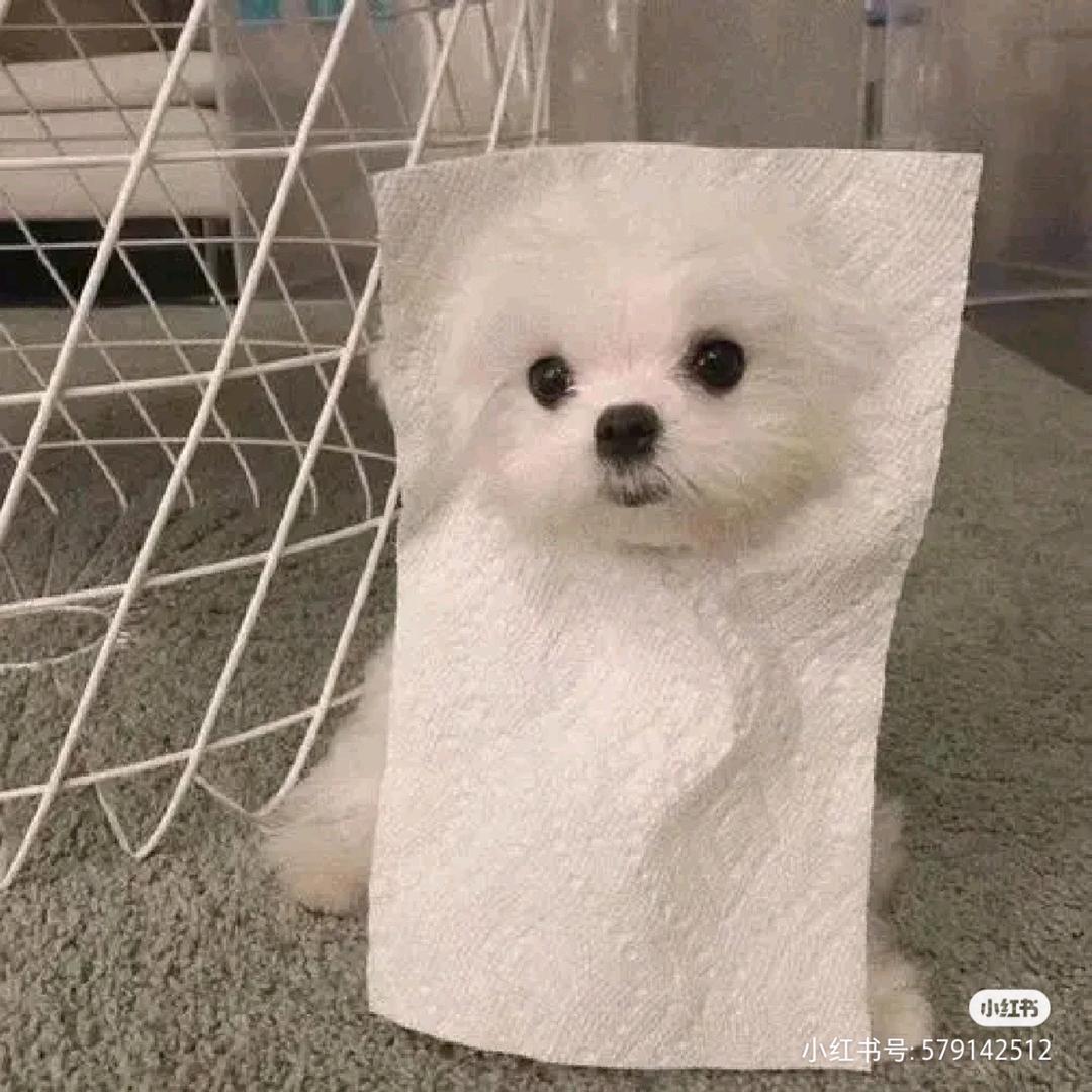 𝓜𝓲𝓻𝓪𝓲𝓽𝓸𝔀𝓪