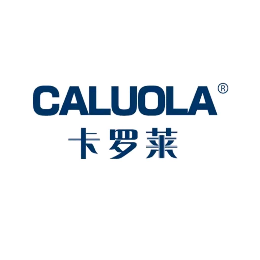 卡罗莱品牌厂家总部时尚手表