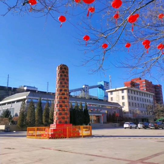 💃向阳花✍🏼