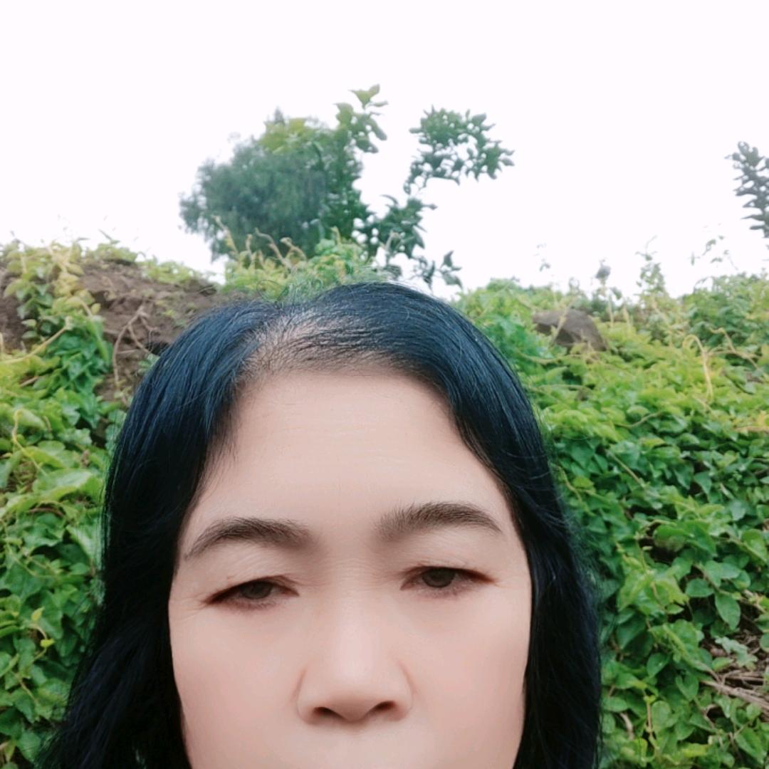 会慧