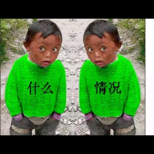 二呆