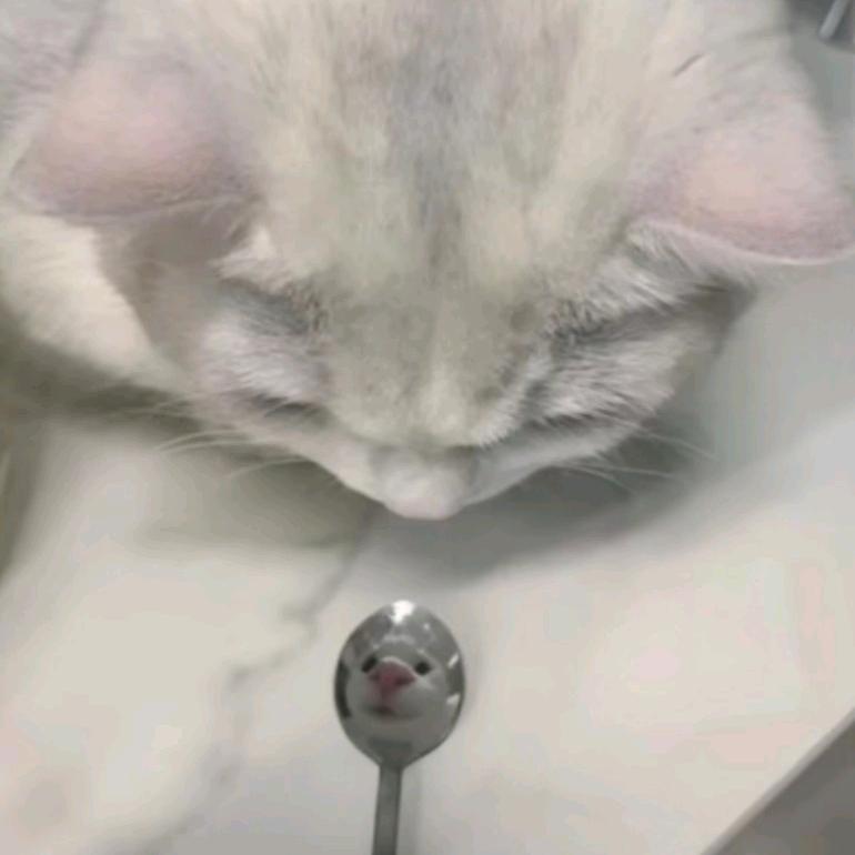捨憶