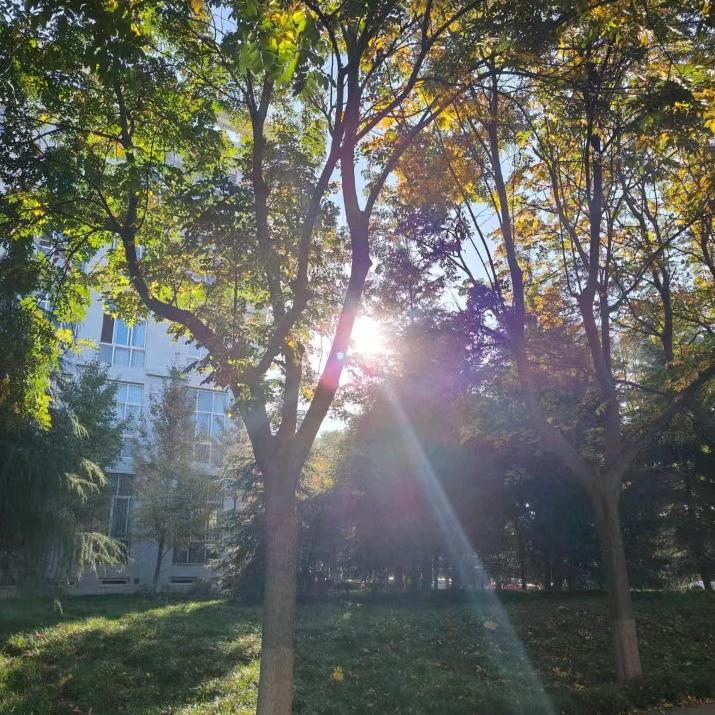 名扬天夏℡⅓⁰⁵³²¹²¹⁰⁹