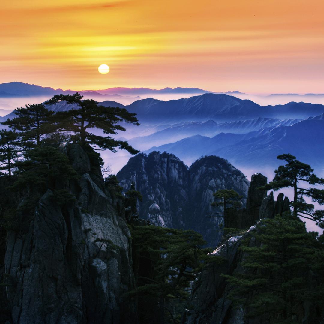 杨春生-有孚甄选