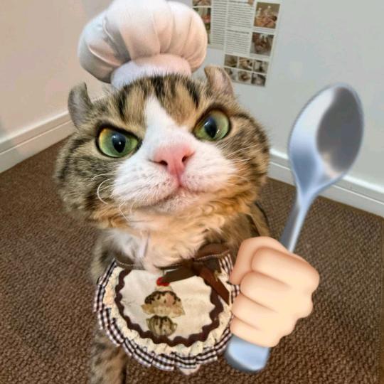 猛抽男大嫩臀