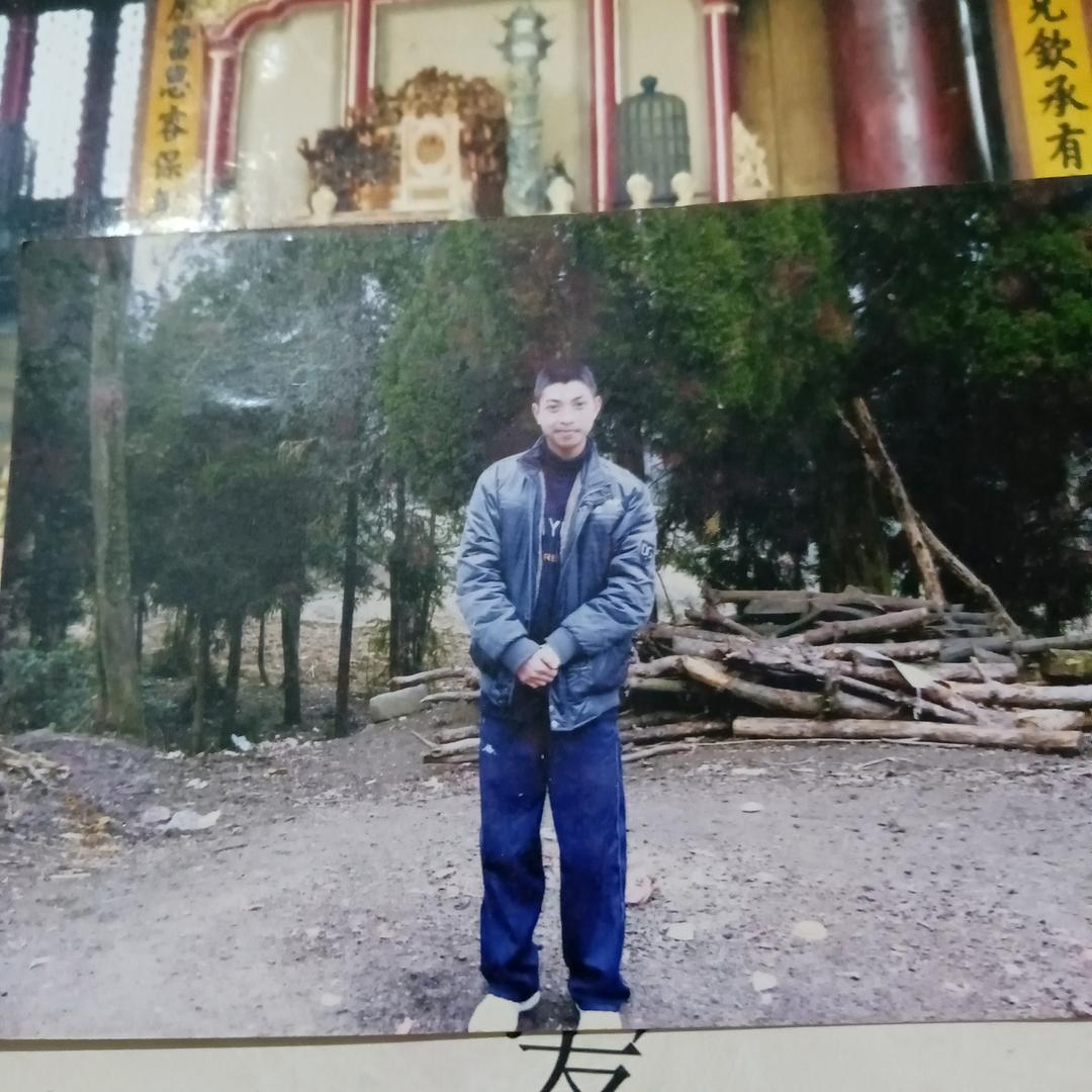 杜鹃花