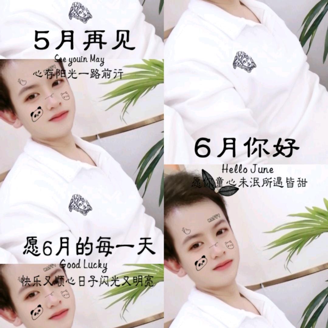 忆往情深