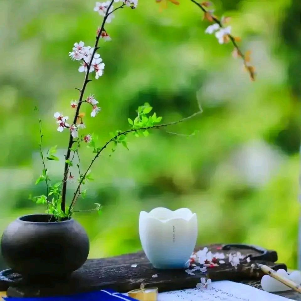 万事通甄选