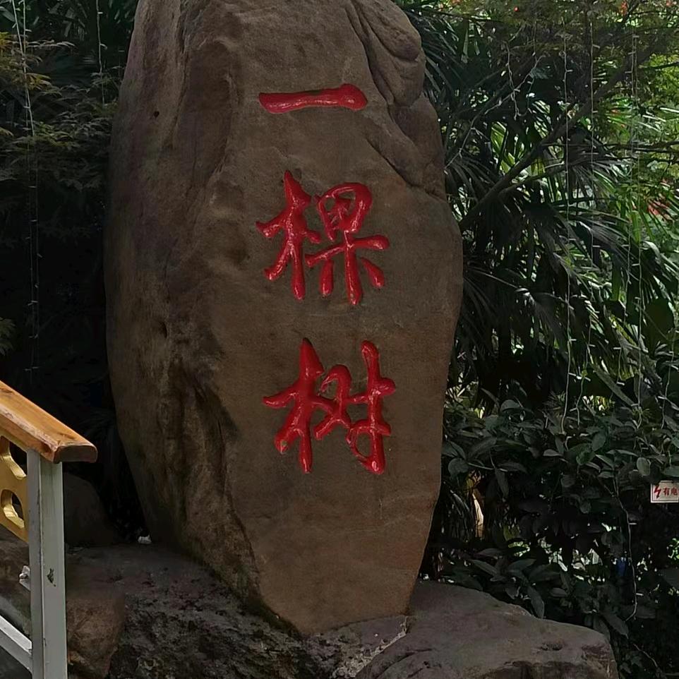 一缕阳光