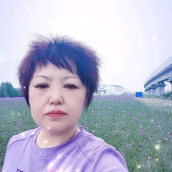 已无所求