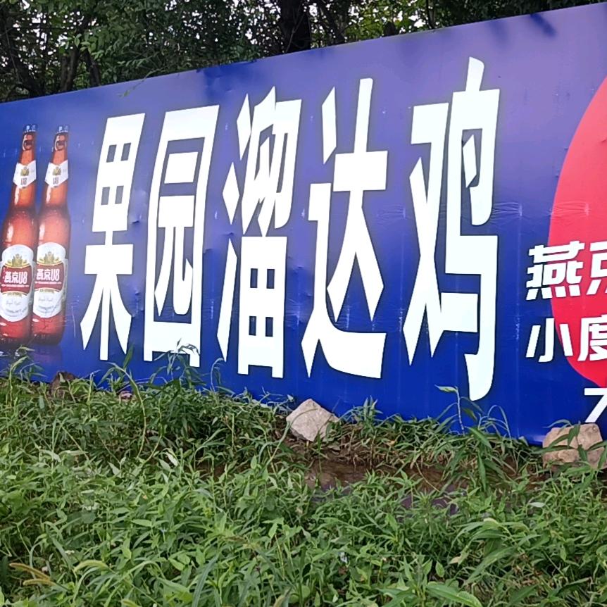 果园溜达鸡（招远）