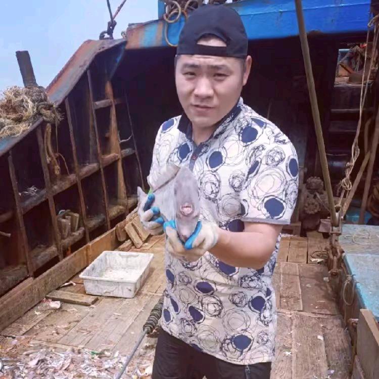 讨海达人
