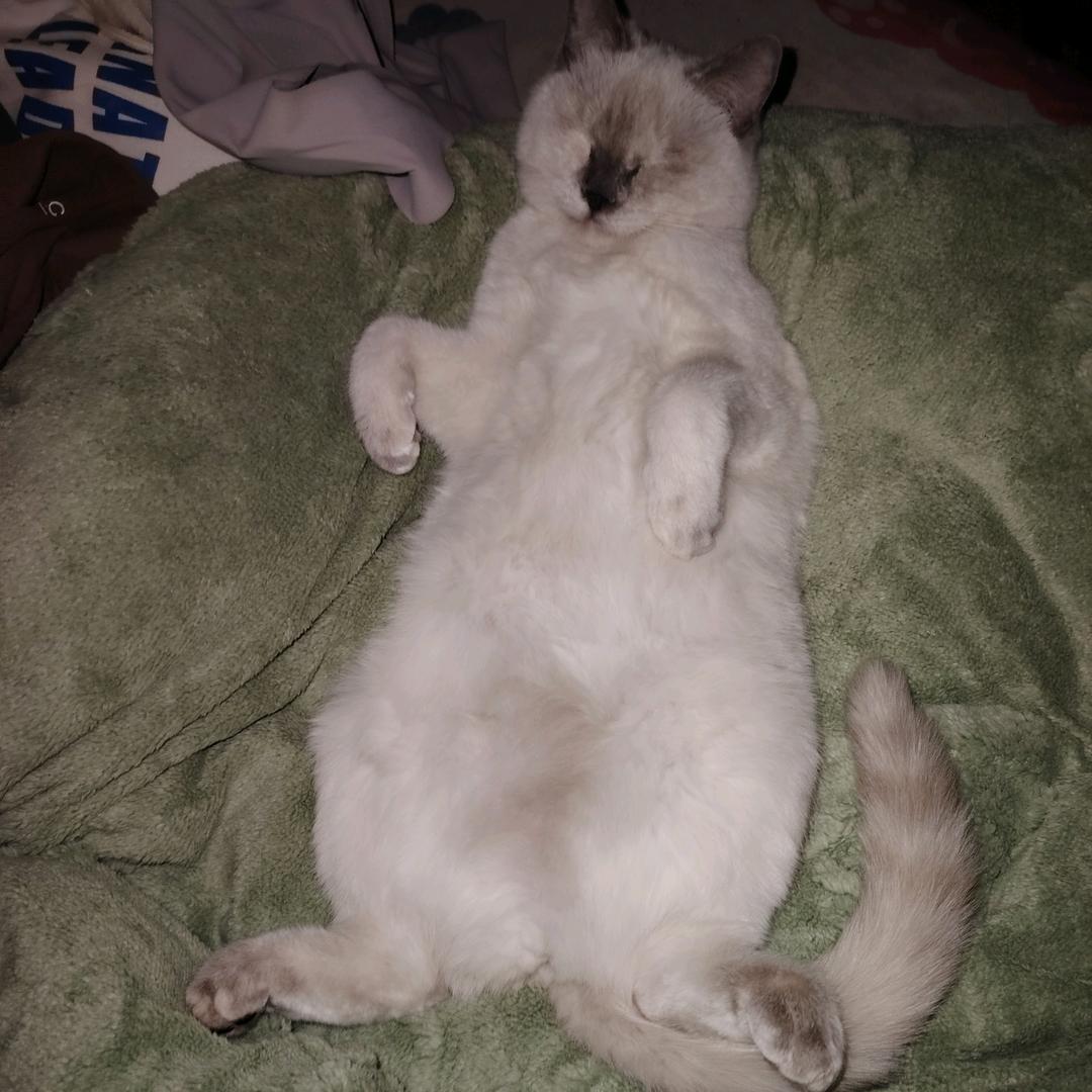 我要发光～