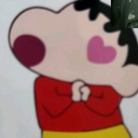 耶耶耶耶