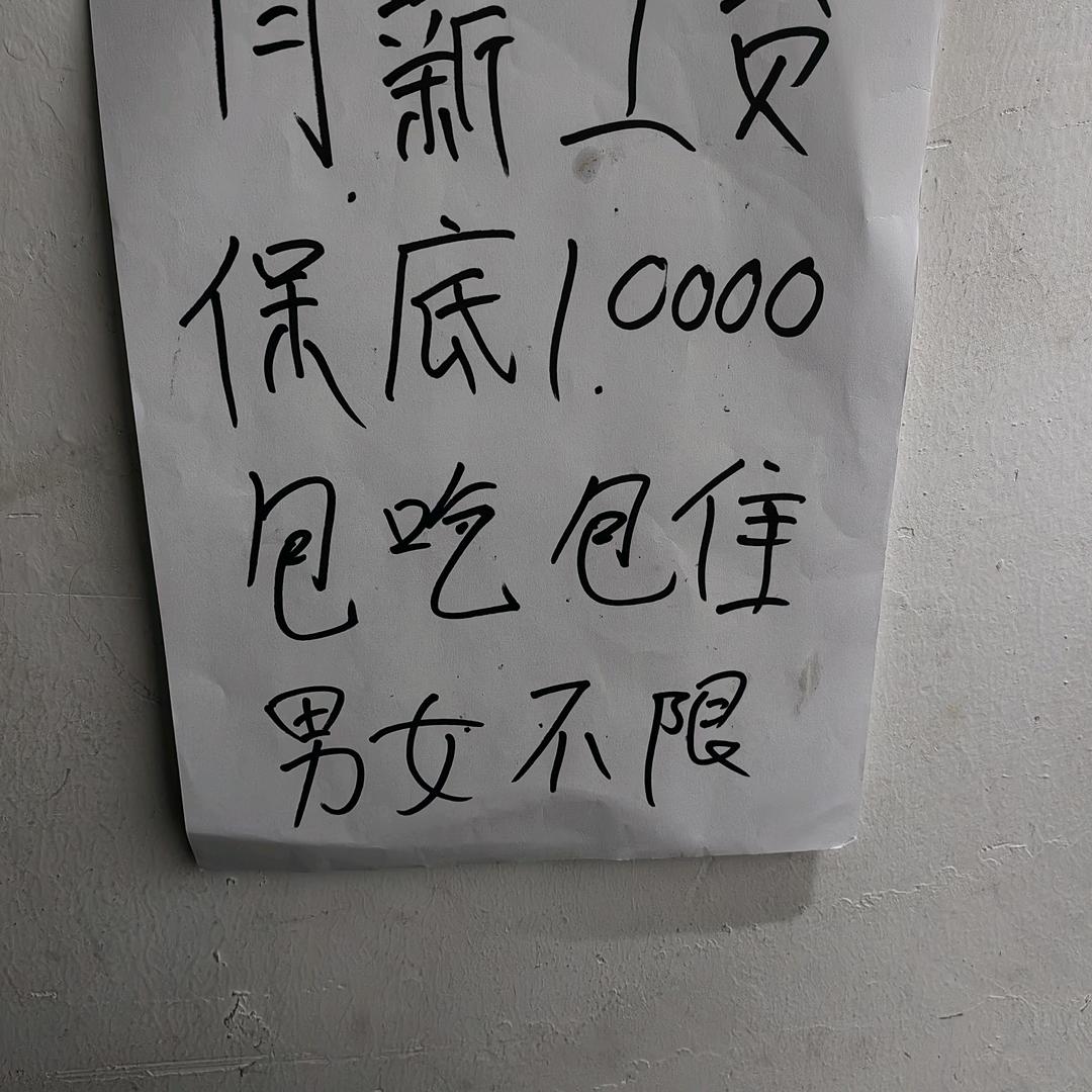 0添加剂炒饭炒面炒粉