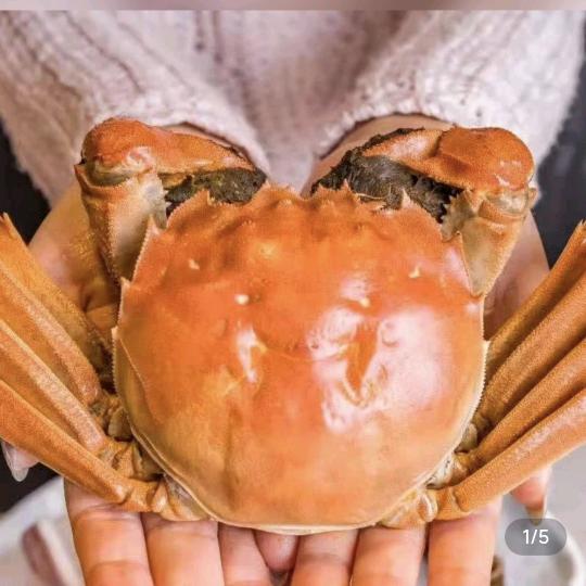 蟹知味水产优品生活